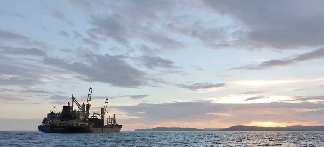 Container ship at sea